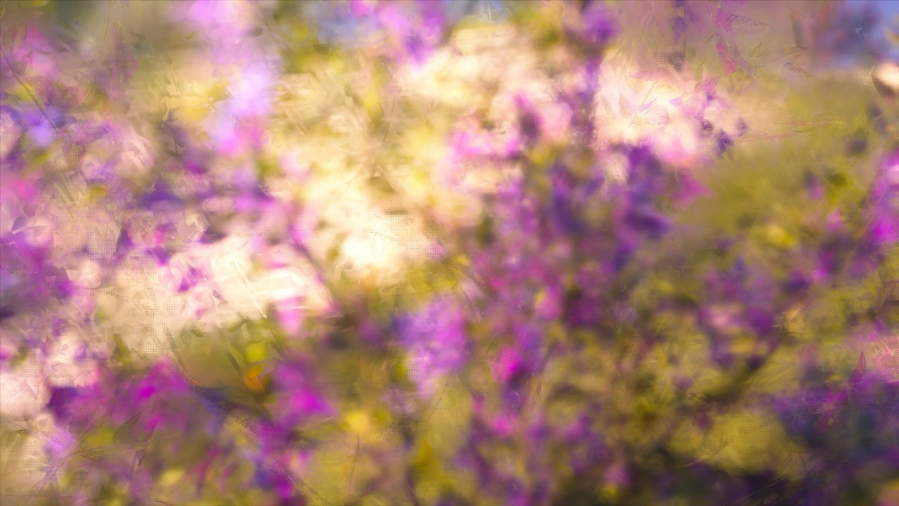 Studies on Breaking Immersion